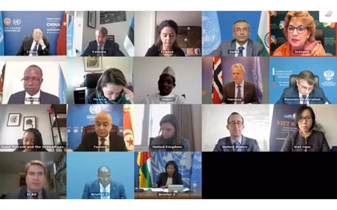 La reunión virtual del Consejo de Seguridad sobre los disturbios en torno a las elecciones en la República Centroafricana. (Fotografía: VNA)