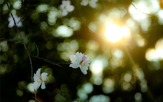 (Fotografía: toquoc.vn/Nam Nguyen)