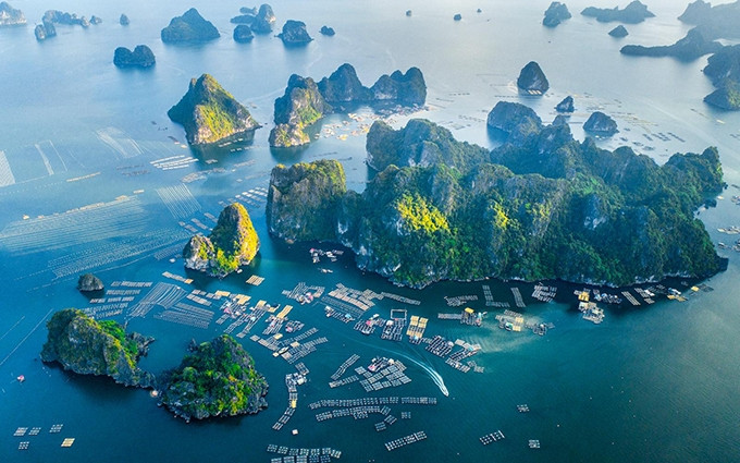 La bahía de Bai Tu Long visto desde arriba. (Fotografía: baoquangninh.com.vn)