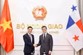 El viceministro de Relaciones Exteriores de Vietnam Dang Hoang Giang y su homólogo panameño Carlos Arturo Hoyos copresiden la segunda Consulta Política entre las dos cancillerías. (Foto: Ministerio de Relaciones Exteriores de Vietnam)