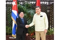 El viceprimer ministro vietnamita Ho Quoc Dung y el viceprimer ministro y ministro de Comercio Exterior e Inversión Extranjera de Cuba, Óscar Pérez-Oliva Fraga. (Foto: VNA)