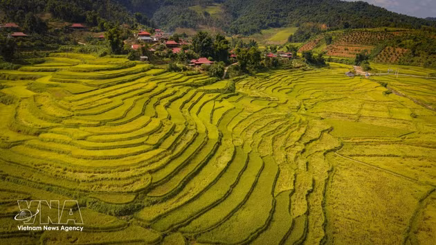 Arrozales en terrazas se suceden junto a una aldea de la comunidad étnica Thai en Chieng Sinh. (Foto: VNA)