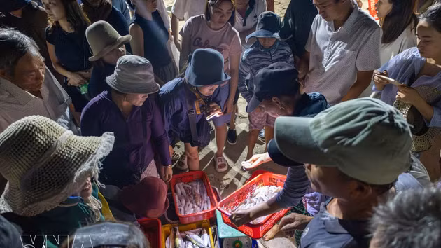 El pescado y los productos del mar se clasifican directamente en la orilla antes de ser cargados en vehículos con destino a los mercados y puntos de venta de la zona. (Foto: VNA)