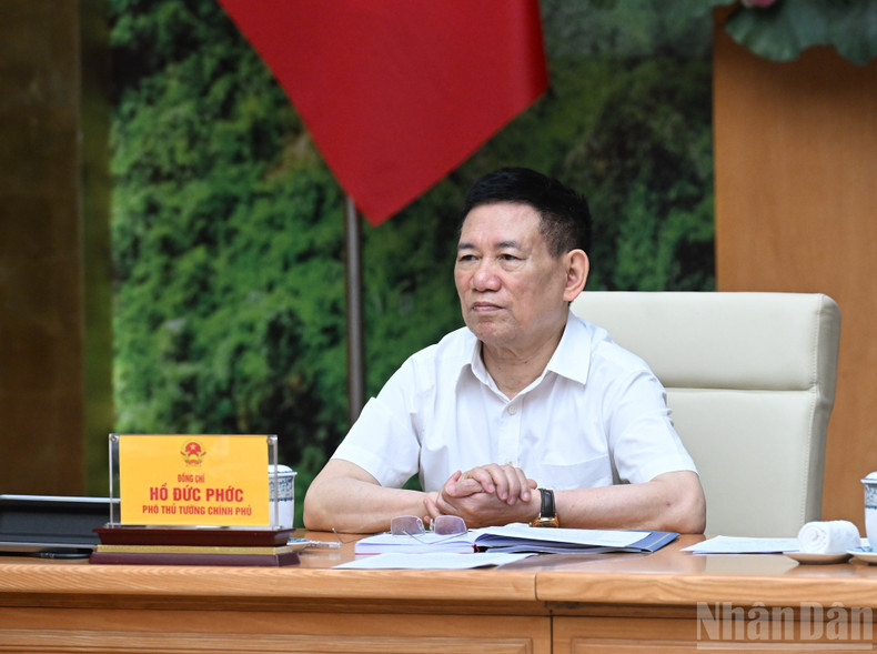 El viceprimer ministro Ho Duc Phoc interviene en la reunión. (Foto: VNA)