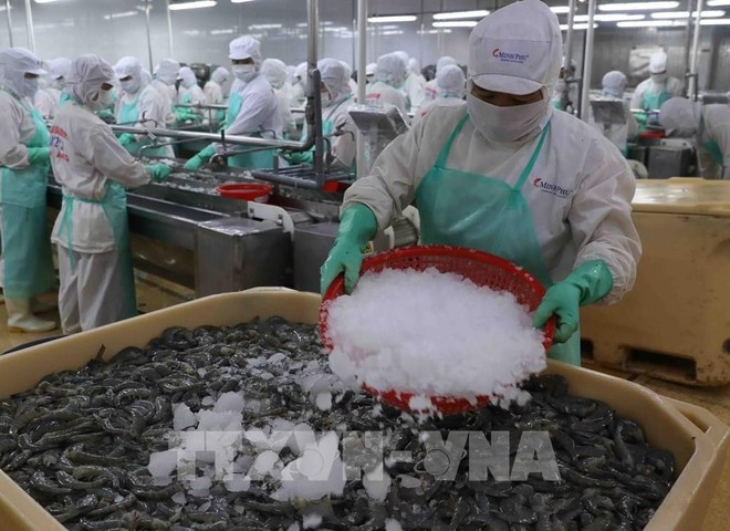 Las exportaciones acuáticas pueden lograr un valor de hasta 11,3 mil millones de dólares. (Foto: VNA)