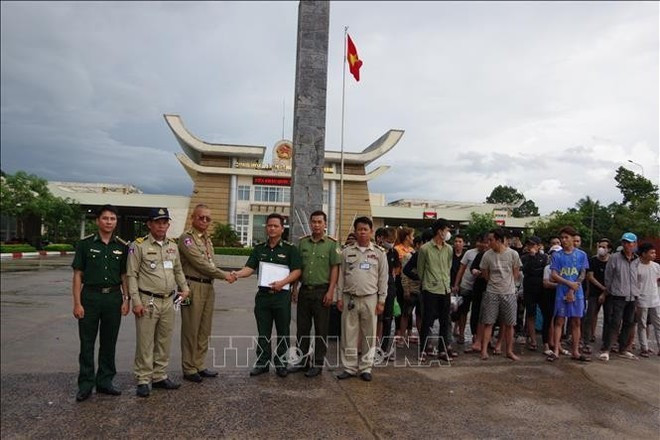 Las autoridades vietnamitas realizan los trámites para recibir a ciudadanos que fueron obligados a trabajar y rescatados en Camboya. (Foto: VNA) Las autoridades vietnamitas realizan los trámites para recibir a ciudadanos que fueron obligados a trabajar y rescatados en Camboya. (Foto: VNA)