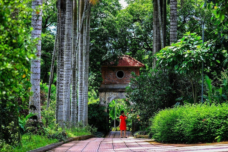 La casa ancestral de la familia Dinh Cong en la comuna Luong Son, provincia de Phu Tho, mantiene intactas sus huellas históricas. (Foto: VNA) La casa ancestral de la familia Dinh Cong en la comuna Luong Son, provincia de Phu Tho, mantiene intactas sus huellas históricas. (Foto: VNA)