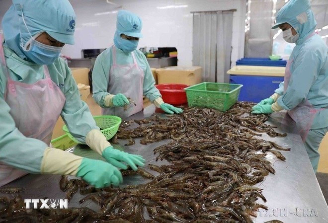 En el primer semestre de 2025, el comercio bilateral sumó 266,9 millones de dólares, para un incremento interanual del ocho por ciento. (Foto: VNA) En el primer semestre de 2025, el comercio bilateral sumó 266,9 millones de dólares, para un incremento interanual del ocho por ciento. (Foto: VNA)