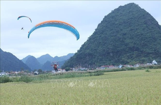 Experiencia de parapente sobre los arrozales de Bac Son. (Foto:VNA)
