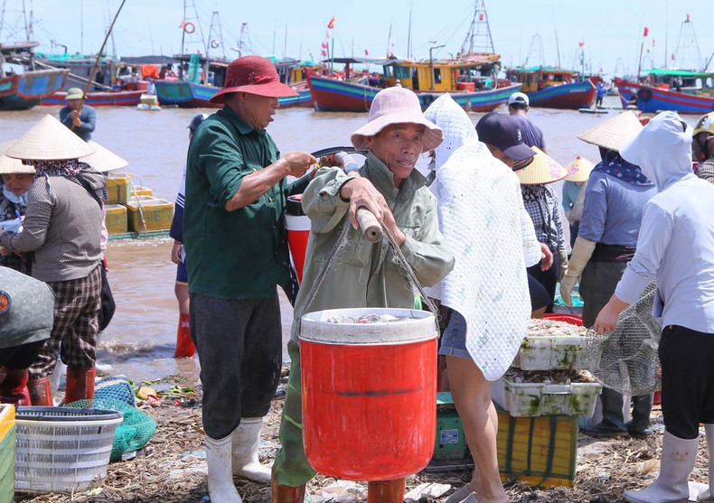 Residentes locales trasladan las cajas de mariscos recién compradas para su distribución. (Foto: VNA) Residentes locales trasladan las cajas de mariscos recién compradas para su distribución. (Foto: VNA)