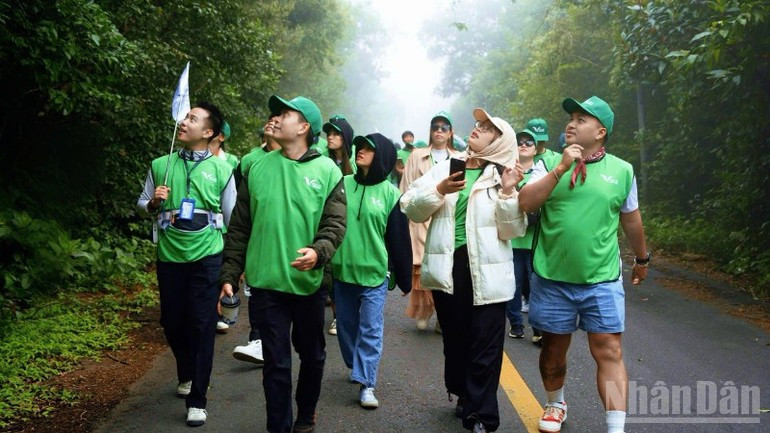 Los turistas visitan la península de Son Tra en el tour organizado por la empresa Son Tra Green. Los turistas visitan la península de Son Tra en el tour organizado por la empresa Son Tra Green.
