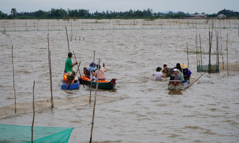 Turistas experimentan la temporada de crecidas en los campos del caserío Giong Bang, comuna de Thuong Phuoc. (Foto: VNA) Turistas experimentan la temporada de crecidas en los campos del caserío Giong Bang, comuna de Thuong Phuoc. (Foto: VNA)