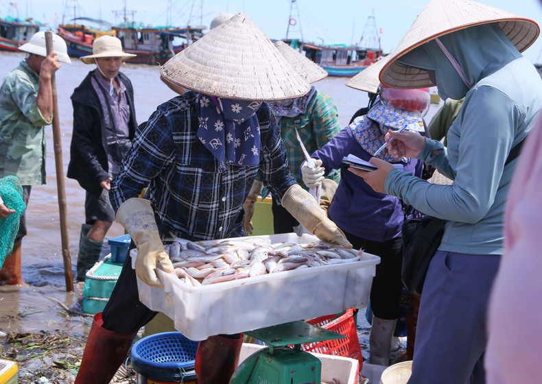 Pequeños comerciantes adquieren mariscos directamente en el mercado. (Foto: VNA) Pequeños comerciantes adquieren mariscos directamente en el mercado. (Foto: VNA)