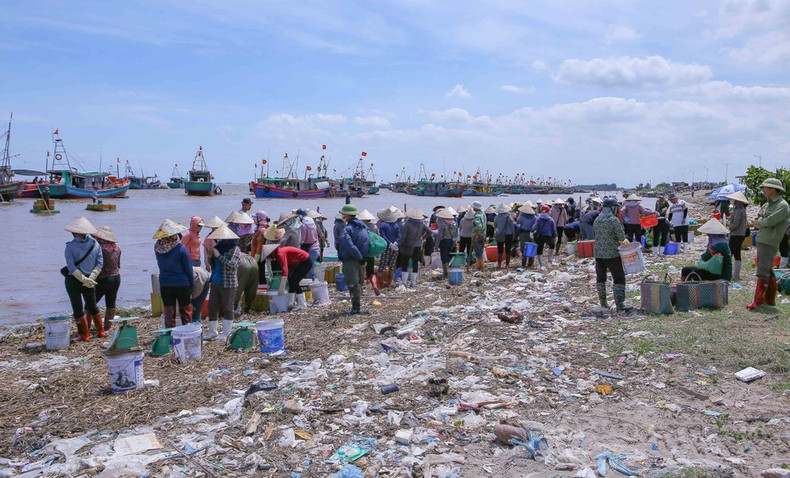 El mercado de Giao Hai abre dos veces al día, justo junto al mar, lo que facilita la compraventa y el traslado de mariscos por parte de los pescadores.(Foto: VNA) El mercado de Giao Hai abre dos veces al día, justo junto al mar, lo que facilita la compraventa y el traslado de mariscos por parte de los pescadores.(Foto: VNA)