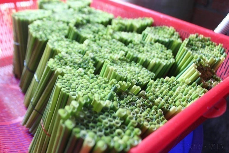 En Ciudad Ho Chi Minh, numerosos establecimientos de comida y bebida usan pajitas ecológicas como alternativa a las de plástico. (Foto: VNA) anh-5-2.jpg