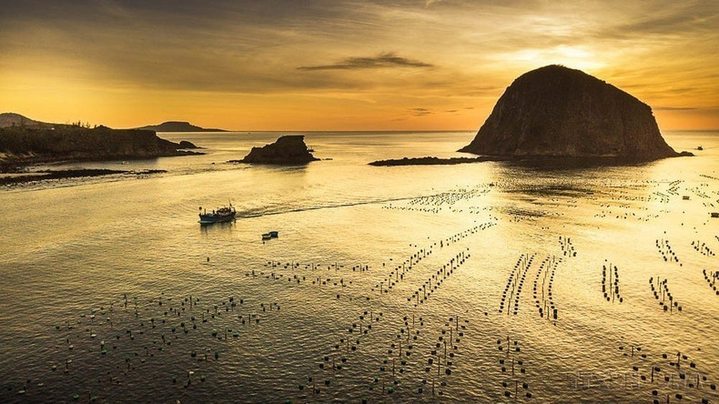El amanecer sobre el mar en Hon Yen, provincia de Phu Yen, ofrece una imagen serena que refleja la armonía entre el ser humano y la naturaleza. (Foto: VNA) El amanecer sobre el mar en Hon Yen, provincia de Phu Yen, ofrece una imagen serena que refleja la armonía entre el ser humano y la naturaleza. (Foto: VNA)