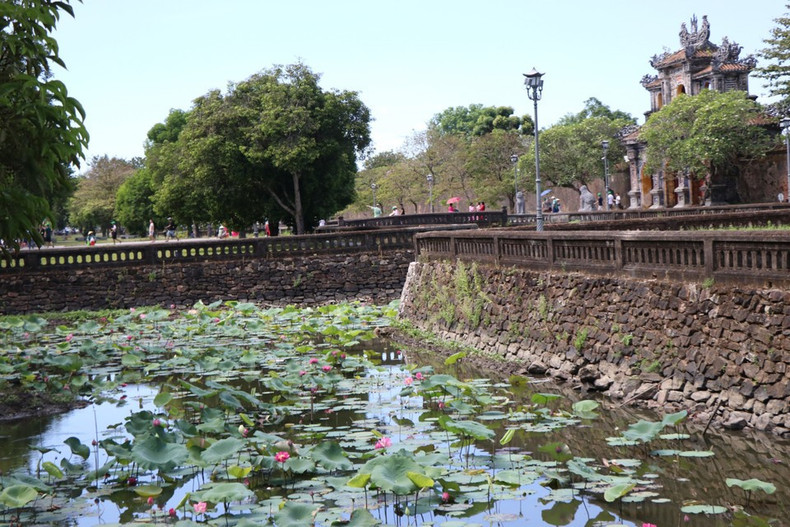 Los visitantes de Hue pueden admirar la belleza prístina de las flores de loto junto a los antiguos y solemnes muros de la ciudadela imperial. Los visitantes de Hue pueden admirar la belleza prístina de las flores de loto junto a los antiguos y solemnes muros de la ciudadela imperial.
