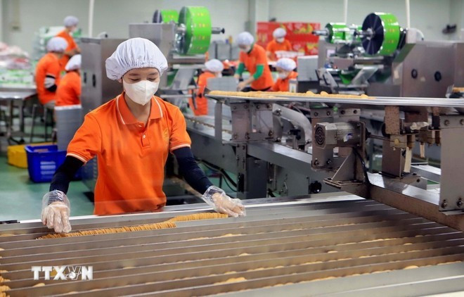 Los obreros trabajan en una fábrica. (Foto: VNA) Los obreros trabajan en una fábrica. (Foto: VNA)