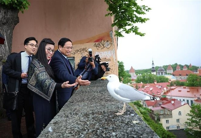El primer ministro vietnamita, Pham Minh Chinh, y su esposa visitan el espacio, la arquitectura y la historia del casco antiguo de Tallin. (Foto: VNA) El primer ministro vietnamita, Pham Minh Chinh, y su esposa visitan el espacio, la arquitectura y la historia del casco antiguo de Tallin. (Foto: VNA)