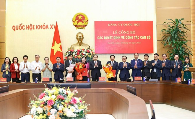 En la ceremonia de entrega de las decisiones. (Foto: VNA) En la ceremonia de entrega de las decisiones. (Foto: VNA)