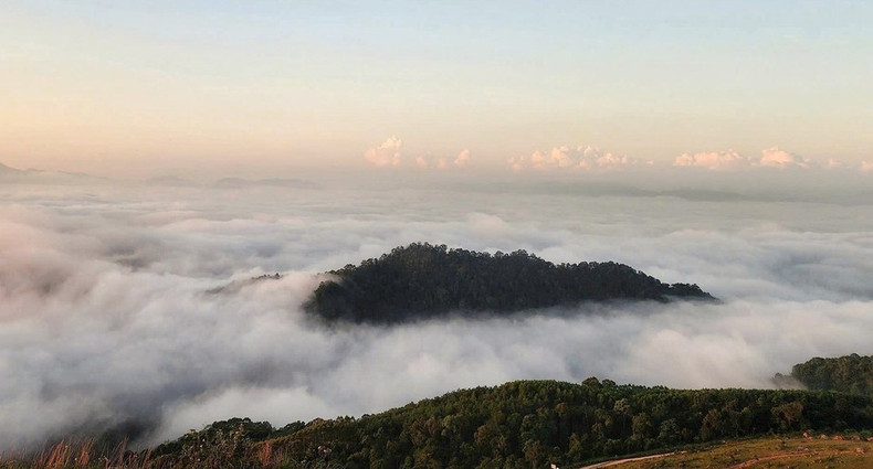 Un mar de nubes en la meseta de Dong Cao. (Foto: VNA) Un mar de nubes en la meseta de Dong Cao. (Foto: VNA)