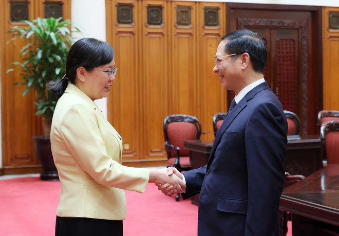 El viceprimer ministro de Vietnam Bui Thanh Son recibe a Zhang Guozhi, vicegobernadora de la provincia china de Guangdong. (Foto: VNA) El viceprimer ministro de Vietnam Bui Thanh Son recibe a Zhang Guozhi, vicegobernadora de la provincia china de Guangdong. (Foto: VNA)