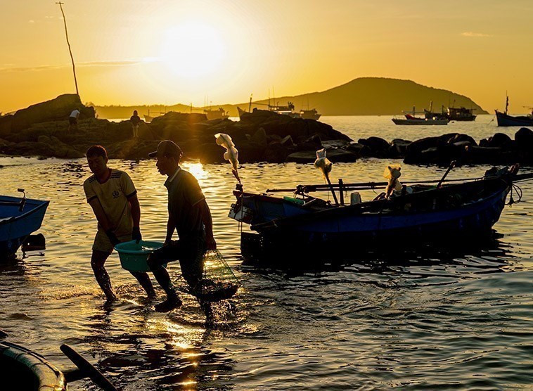Todos los días al amanecer se traen peces a la orilla. (Foto: VNA) Todos los días al amanecer se traen peces a la orilla. (Foto: VNA)