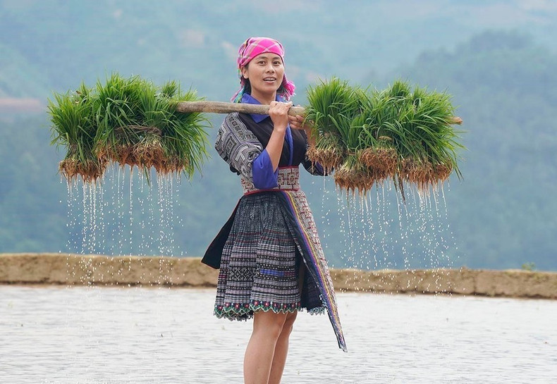 La gente de Mu Cang Chai está ocupada iniciando la nueva cosecha de arroz. (Foto: VNA) La gente de Mu Cang Chai está ocupada iniciando la nueva cosecha de arroz. (Foto: VNA)