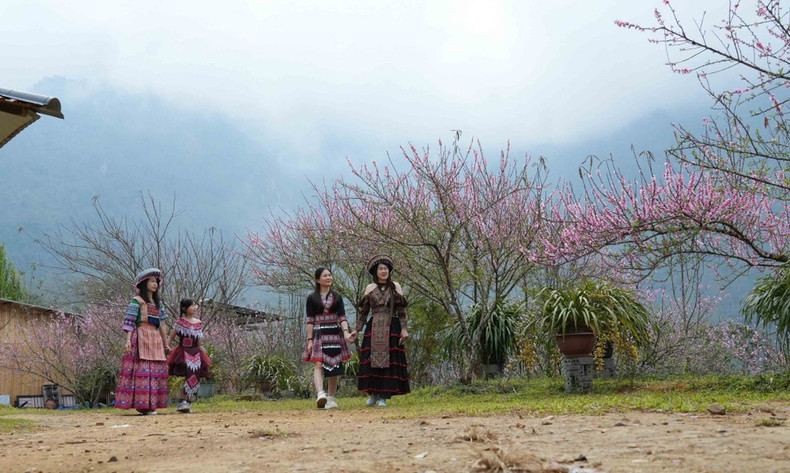 Turistas disfrutan en la aldea turística comunitaria Sin Suoi Ho. (Foto: VNA)