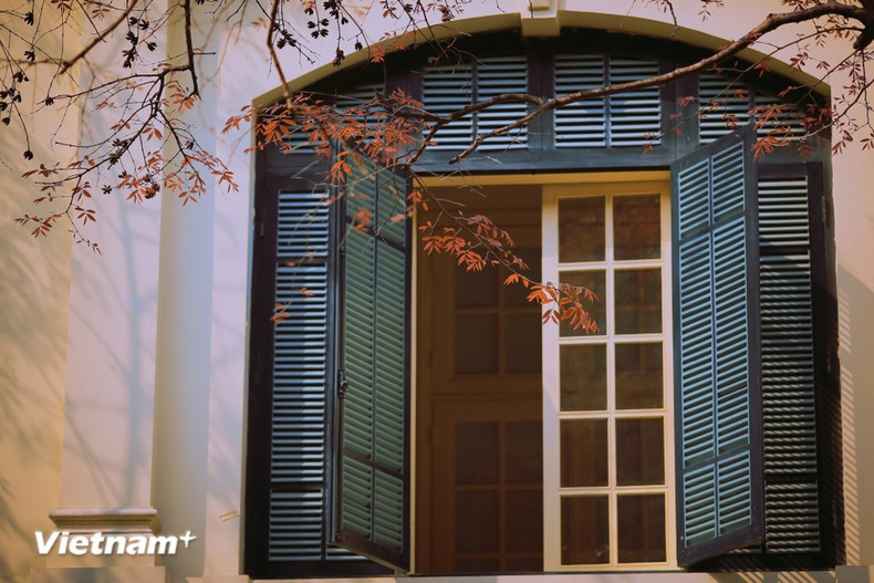 A lo largo de bulevares familiares como Phan Dinh Phung, Hoang Dieu y Tran Phu, hileras de dracontomelones, almendros tropicales y caobas realzan con sus frescos brotes, anunciando la llegada de una nueva vida. (Foto: Vietnam+)