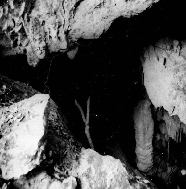 El Presidente Ho Chi Minh eligió Cao Bang - una región de especial importancia geopolítica, de defensa y seguridad, y con una rica tradición patriótica - como la primera base revolucionaria. En la imagen: La cueva Coc Bo, primer lugar de residencia y trabajo de Nguyen Ai Quoc tras su regreso al país el 8 de febrero de 1941. (Foto: VNA)