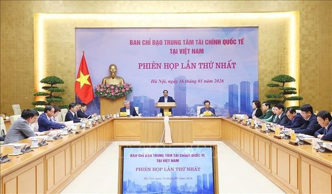 En la primera reunión del Comité Directivo del CFI de Vietnam. (Foto: VNA)
