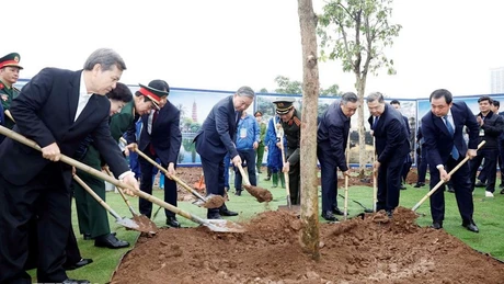El secretario general del Partido Comunista de Vietnam (PCV), To Lam, en la ceremonia de lanzamiento del movimiento de plantación de árboles. (Foto: VNA)