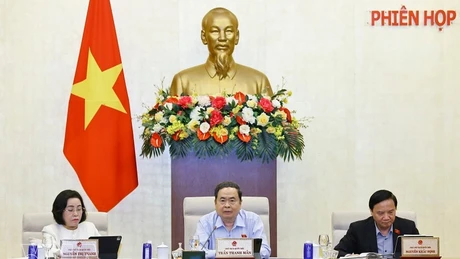 El presidente de la AN, Tran Thanh Man, interviene en la cita (Foto: VNA)
