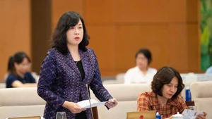 La ministra de Salud Pública, Dao Hong Lan, interviene en la reunión. (Fotografía: Nhan Dan)
