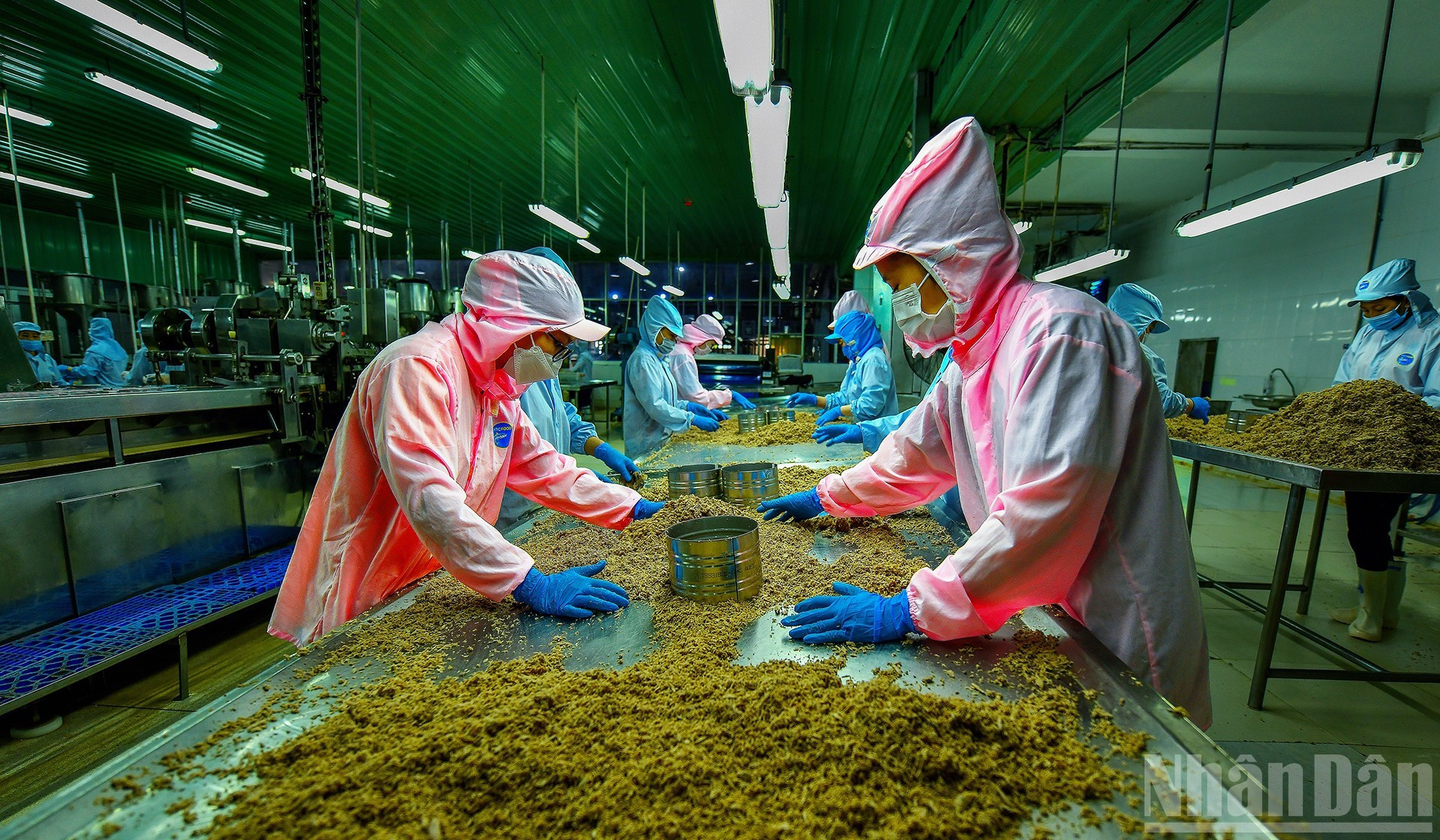 Clasificación de productos. (Autor: Nguyen Dao Duc)