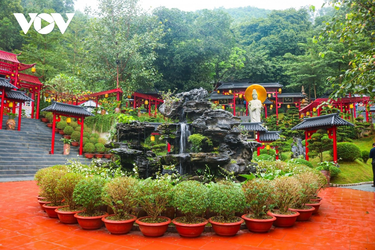 Los visitantes pueden apreciar los bonsáis, cuidadosamente cultivados.