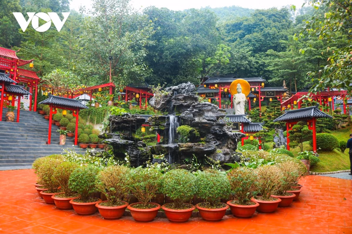 Los visitantes pueden apreciar los bonsáis, cuidadosamente cultivados.