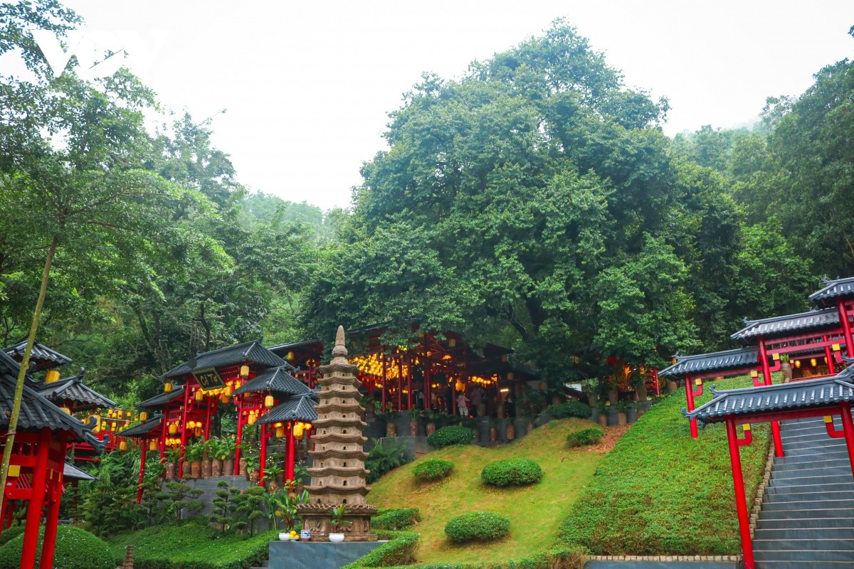 Según relata el Venerable Thich Hue Hanh, abad del templo, el lugar recibe el nombre de “Cay Thi” porque junto a él echa raíces un árbol de Diospyros decandra de varios siglos de antigüedad.