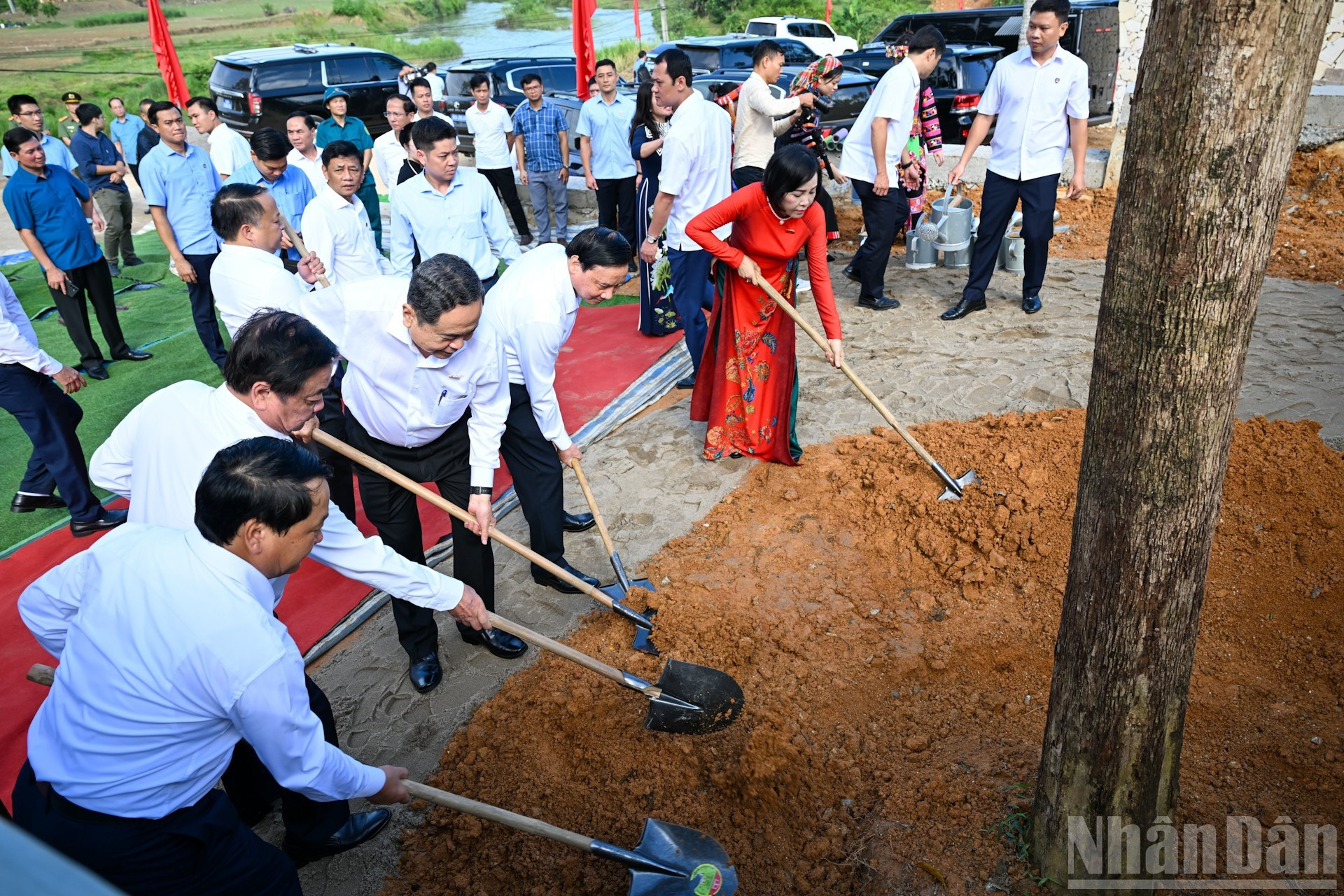 Los delegados plantan árboles en el sitio.