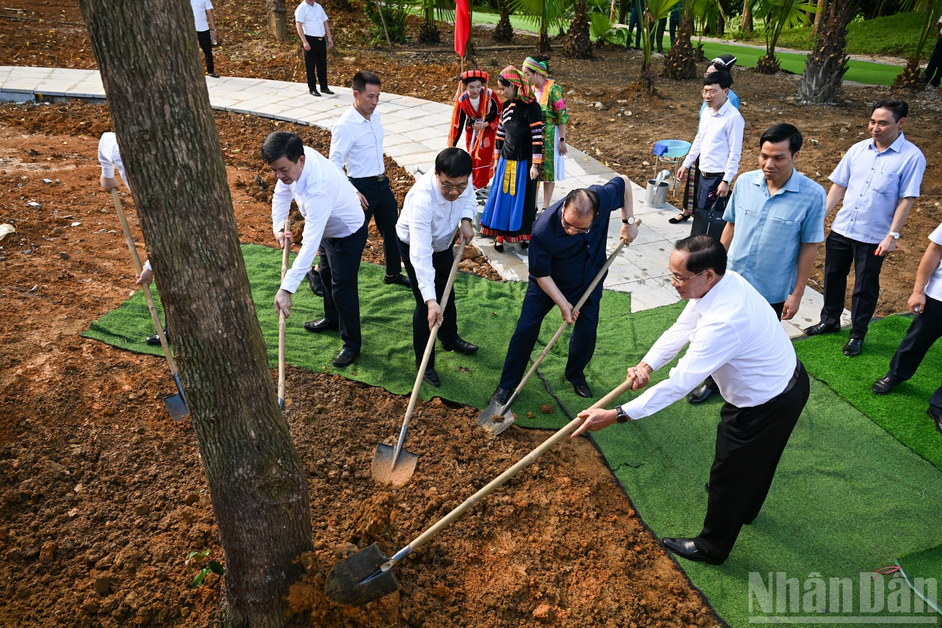 Los delegados plantan árboles en el sitio.