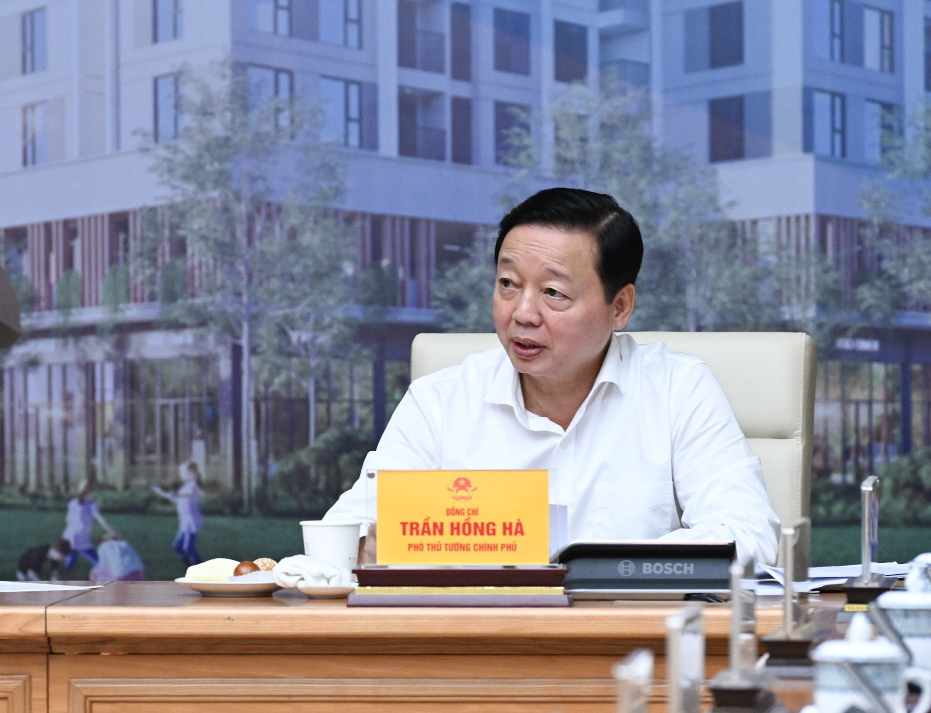 El viceprimer ministro Tran Hong Ha expresa su opinión.