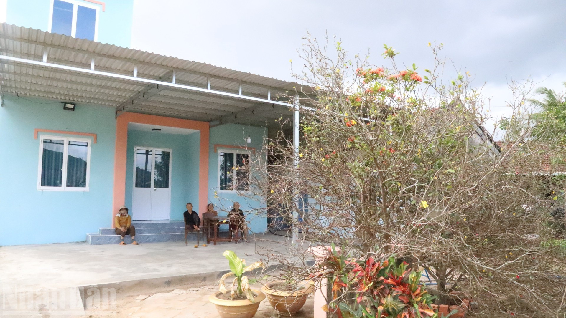 A pesar de haber superado una temporada de tormentas e inundaciones históricas, en la comuna de Son Hoa las flores vuelven a brotar, anunciando la llegada de una nueva primavera.
