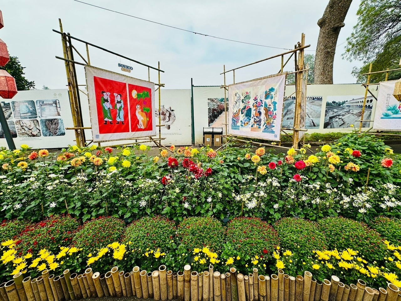 Resaltan las especies florales características del Norte de Vietnam, como dalias, crisantemos, pomelos, kumquats, melocotoneros y otras típicas de la primavera vietnamita.