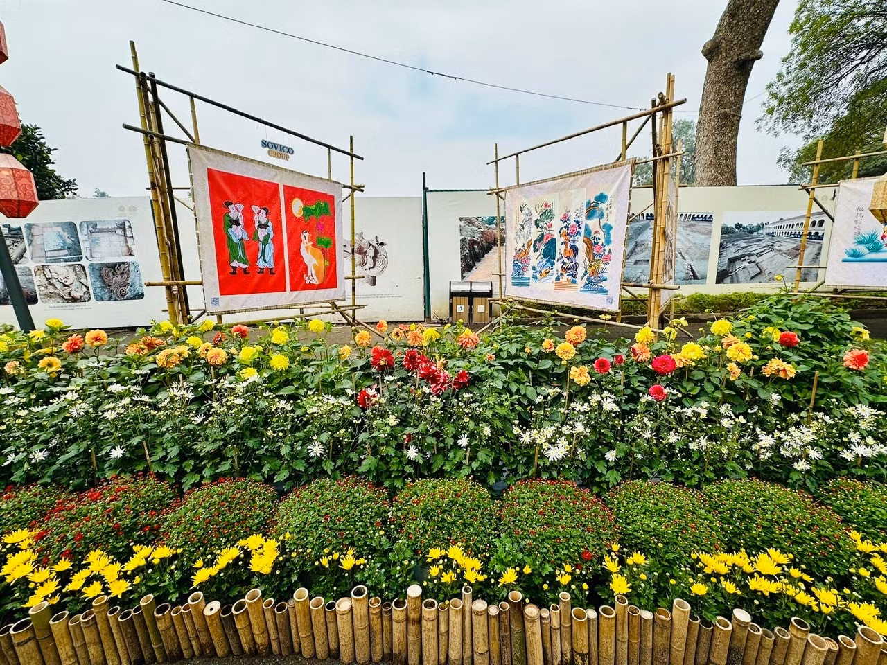 Resaltan las especies florales características del Norte de Vietnam, como dalias, crisantemos, pomelos, kumquats, melocotoneros y otras típicas de la primavera vietnamita.