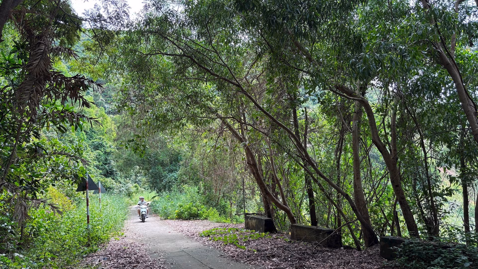 Los visitantes pueden recorrer los bosques y explorar los paisajes vírgenes de la isla en motocicleta.