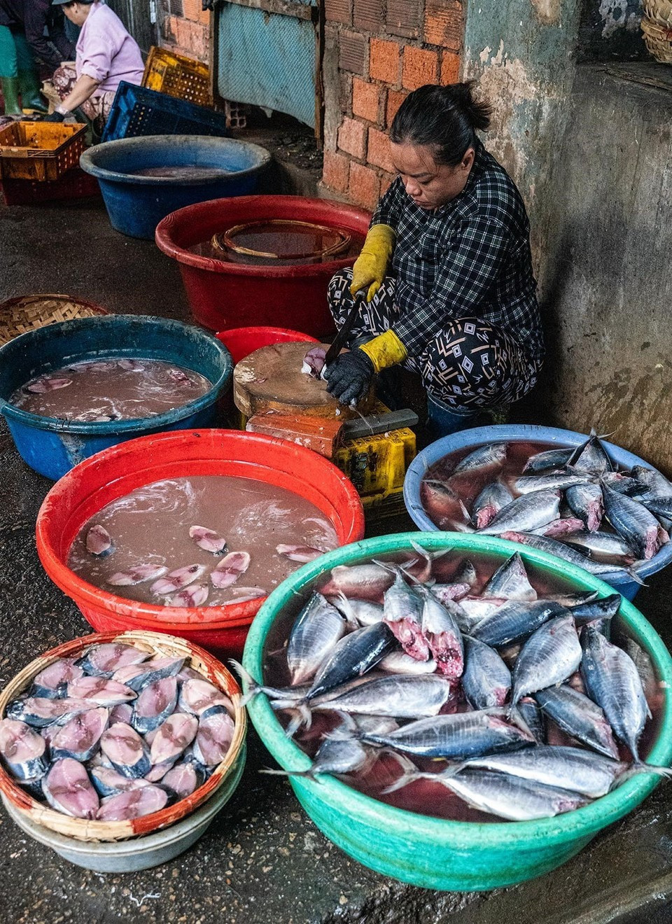 Limpieza del pescado antes de entrar al horno de vapor. Limpieza del pescado antes de entrar al horno de vapor.
