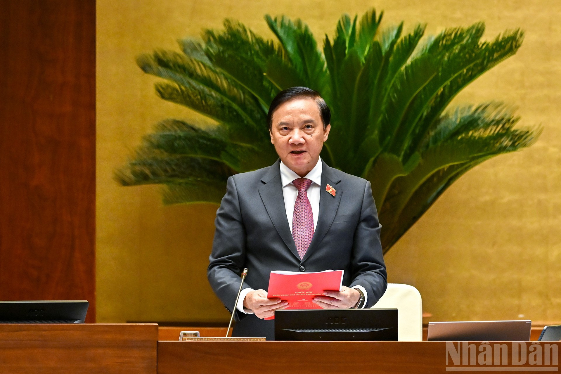 Nguyen Khac Dinh, vicepresidente de la Asamblea Nacional dirige la sesión.