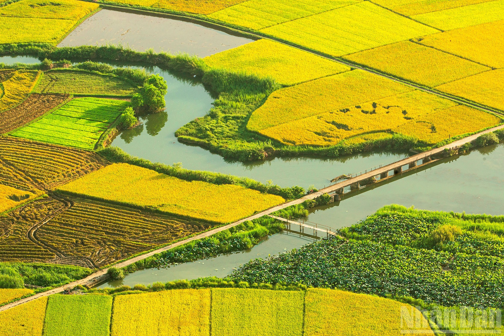 El camino de la prosperidad.