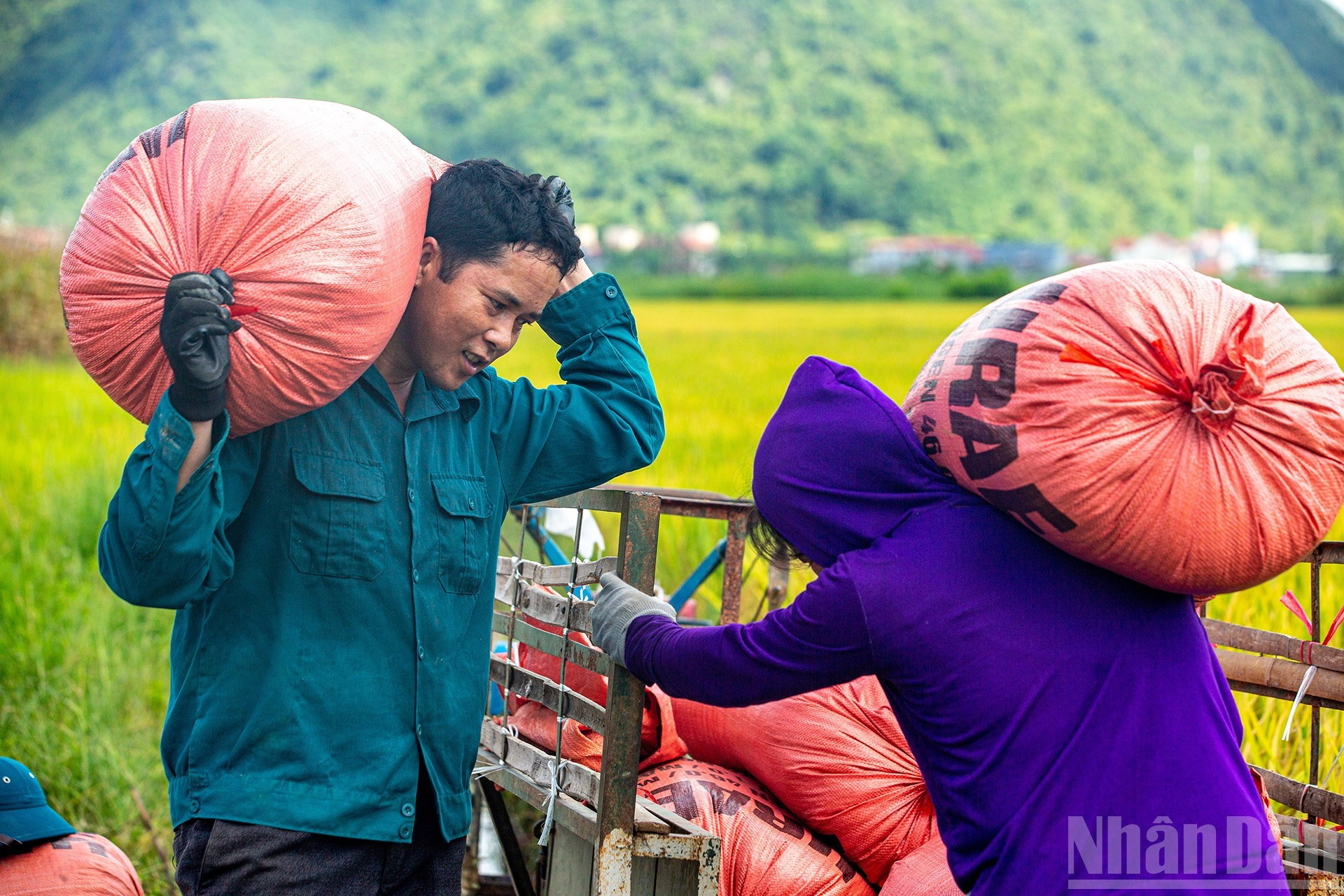 Alegría y felicidad.